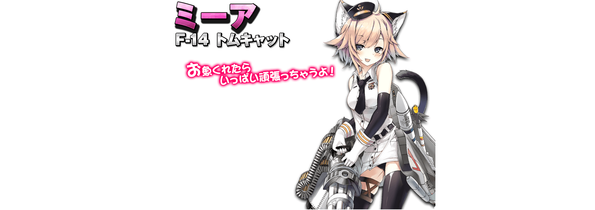 F-14 トムキャット