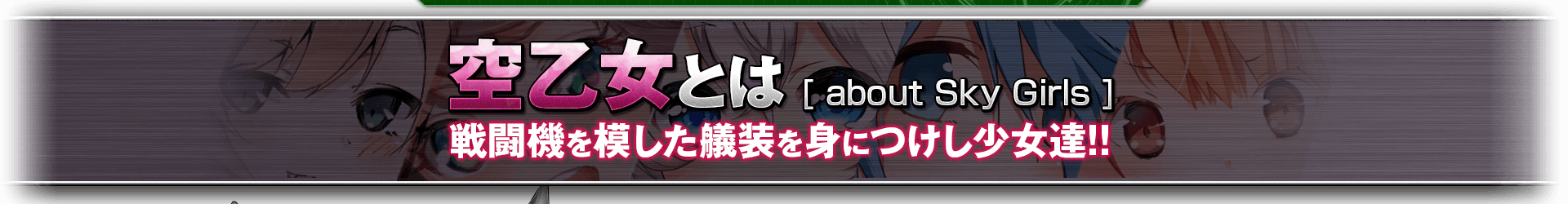 空戦乙女スカイヴァルキリーズ | にじよめ