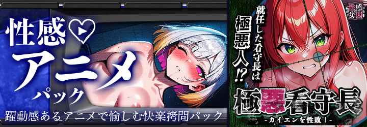 性感MAXな女囚達