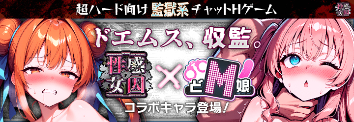 性感MAXな女囚達