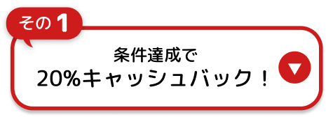 その1 条件達成で 20%キャッシュバック！