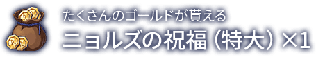 ニョルズの祝福（特大）×1